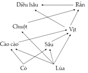 Một lưới thức ăn trên đồng ruộng được mô tả như hình bên, các phát biểu dưới đây là đúng hay sai? (ảnh 1)