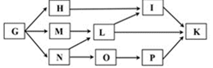 Giả sử lưới thức ăn trong một hệ sinh thái gồm các loài sinh vật G, H, I, K, L, M, N, O, P được mô tả bằng sơ đồ ở hình bên. (ảnh 1)