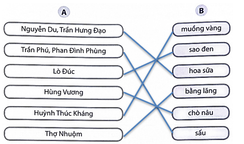 Em hãy nối tên đường ở cột A với tên các loài cây được trồng nhiều ở những con đường đó ở cột B. (ảnh 1)
