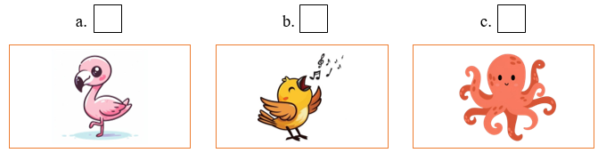 A: What’s that? B: It’s an octopus. (ảnh 1)