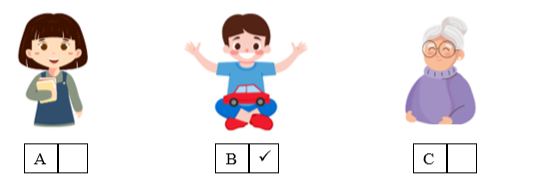 Listen and tick (ü) the box. There is one example. (ảnh 2)