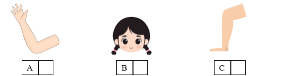 Listen and tick (ü) the box. There is one example. (ảnh 1)