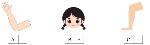 Listen and tick (ü) the box. There is one example. (ảnh 2)