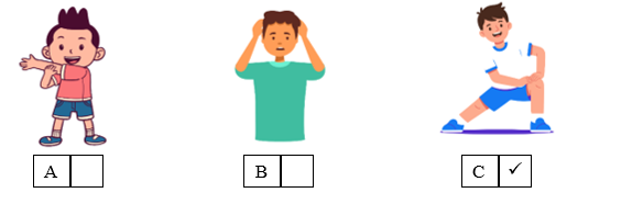 Listen and tick (ü) the box. There is one example. (ảnh 2)