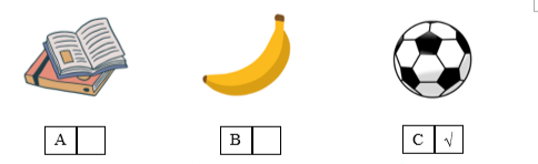 Listen and tick (√) the box. There is one example. (ảnh 2)