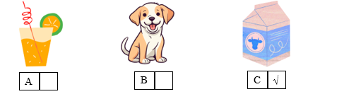 Listen and tick (√) the box. There is one example. (ảnh 2)