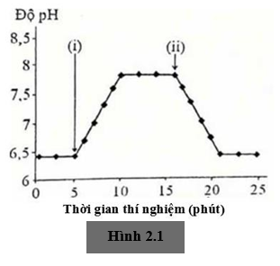 2.1. Các nhà khoa học tách riêng thylakoid của lục lạp và đưa vào môi trường tương tự như chất nền của lục lạp. Theo dõi pH của môi trường chứa thylakoid ở các điều kiện khác nhau và thu được kết quả thể hiện ở Hình 2.1. (ảnh 1)
