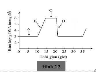 2.1. Các nhà khoa học tách riêng thylakoid của lục lạp và đưa vào môi trường tương tự như chất nền của lục lạp. Theo dõi pH của môi trường chứa thylakoid ở các điều kiện khác nhau và thu được kết quả thể hiện ở Hình 2.1. (ảnh 2)