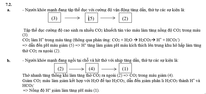 Vì sao quá trình hô hấp ở chim đạt hiệu quả cao hơn so với các loài động vật có xương sống trên cạn khác? (ảnh 3)