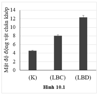 Ở một khu rừng, động vật ăn lá chủ yếu là các loài động vật chân khớp. Chúng là thức ăn của chim (vào ban ngày) và dơi (vào ban đêm).  (ảnh 1)
