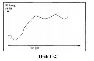 Ở một khu rừng, động vật ăn lá chủ yếu là các loài động vật chân khớp. Chúng là thức ăn của chim (vào ban ngày) và dơi (vào ban đêm).  (ảnh 2)