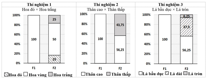 Ở một loài thực vật có hoa, xét ba tính trạng khác nhau: màu sắc hoa, chiều dài thân và hình dạng lá; mỗi tính trạng tuân theo một quy luật di truyền khác nhau và các gene quy định các tính trạng phân li độc lập với nhau (ảnh 1)