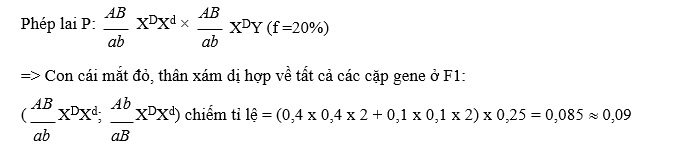 Một loài động vật mà giới cái là XX, giới đực là XY, allele A quy định mắt đỏ trội hoàn toàn so với allele a quy định mắt trắng; kiểu gene có cả allele B và D cho thân xám, các kiểu gene còn lại cho thân đen. (ảnh 1)
