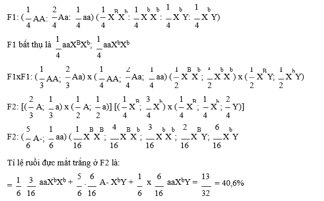 Ở ruồi giấm, người ta tìm thấy một allele lặn trên nhiễm sắc thể thường gây nên kiểu hình chuyển đổi giới tính, allele trội tương ứng quy định giới tính bình thường. (ảnh 1)