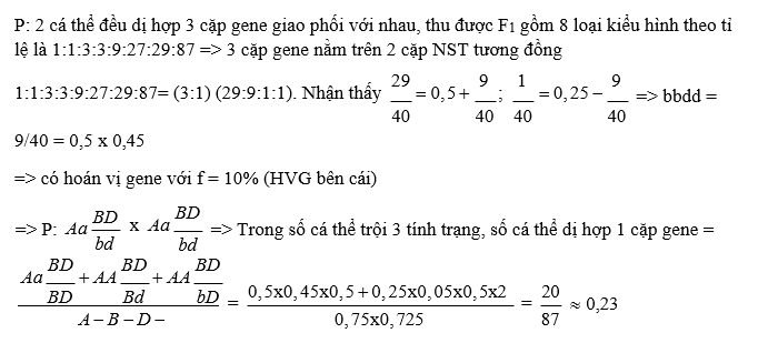 Ở ruồi giấm, xét 3 cặp gene nằm trên 2 cặp nhiễm sắc thể thường, mỗi gene quy định 1 tính trạng, allele trội là trội hoàn toàn. Phép lai P: 2 cá thể đều dị hợp 3 cặp gene giao phối với nhau (ảnh 1)
