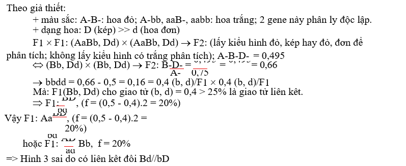 Ở loài đậu thơm, màu sắc hoa do 2 cặp gene không allele phân li độc lập chi phối; kiểu gene có mặt 2 allele A và B cho hoa màu đỏ, kiểu gene có một trong hai allele A hoặc B hoặc thiếu cả 2 allele này thì cho hoa màu trắng. (ảnh 2)