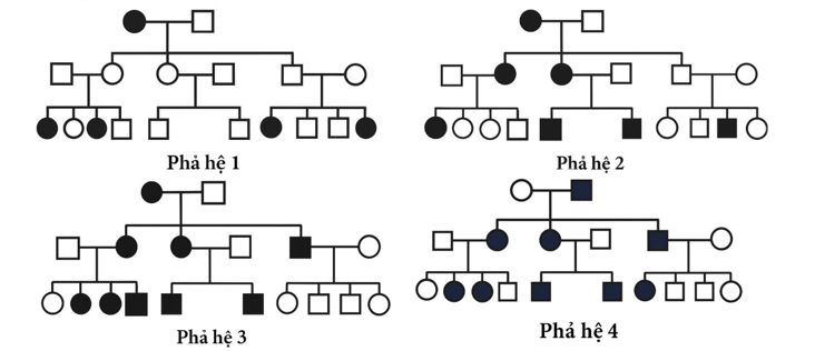 Hội chứng KeRNAs-Sayre là một hội chứng di truyền hiếm gặp nguyên nhân phát sinh do đột biến làm mất khoảng 10.000 nucleotide trong DNA ty thể. (ảnh 1)