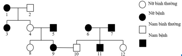 Sơ đồ phả hệ bên mô tả sự di truyền một bệnh ở người, bệnh do một gene có 2 allele quy định. Xét các phát biểu sau đây là đúng hay sai? (ảnh 1)