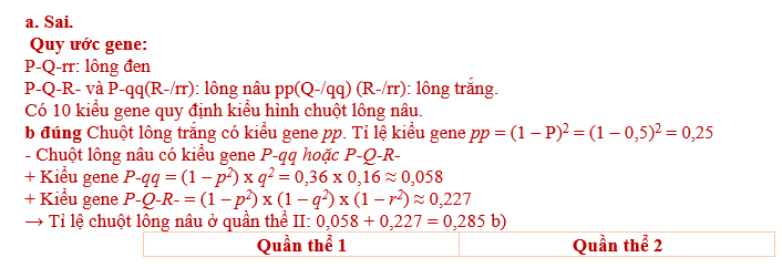 Ở chuột, sắc tố tạo nên màu lông được quy định bởi ba gene P, Q và R nằm trên ba nhiễm sắc thể riêng biệt. Mỗi gene trên đều có hai allele, trong đócác allele lặn (p, q, r) không tạo thành protein chức năng. (ảnh 1)