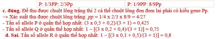 Ở chuột, sắc tố tạo nên màu lông được quy định bởi ba gene P, Q và R nằm trên ba nhiễm sắc thể riêng biệt. Mỗi gene trên đều có hai allele, trong đócác allele lặn (p, q, r) không tạo thành protein chức năng. (ảnh 2)