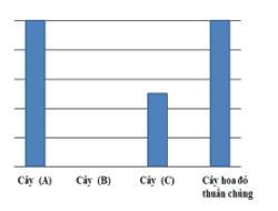 Ở một loài thực vật, tính trạng màu sắc hoa do một gen gồm hai allele quy định, allele A₁ quy định màu đỏ và allele A₂ quy định màu trắng. (ảnh 1)