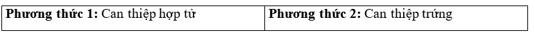 . Em bé “ba bố mẹ” được sinh ra bằng phương pháp IVF (thụ tinh trong ống nghiệm). Em bé này được sinh ra từ hợp tử hoặc trứng đã được biến đổi gene và có DNA của mẹ ruột, cha ruột và một người hiến tặng trứng (ảnh 1)