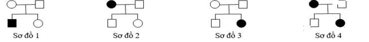 Cho các sơ đồ phả hệ sau (ô tô màu đen thể hiện người bị bệnh):    Trong các sơ đồ phả hệ trên, sơ đồ nào phù hợp với sự di truyền của bệnh máu khó đông ở người? A. Sơ đồ 1.	B. Sơ đồ 3.	C. Sơ đồ 2.	D. Sơ đồ 4.  (ảnh 1)
