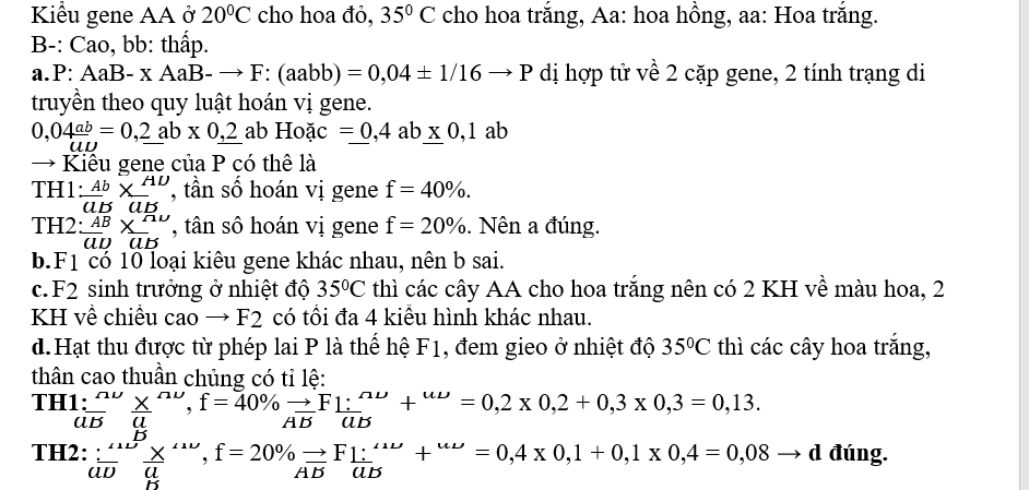 Ở loài hoa anh thảo (Primula sinensis), allele A quy định hoa đỏ trội không hoàn toàn so với allele a quy định hoa trắng; kiểu gene Aa hoa có màu hồng (ảnh 1)