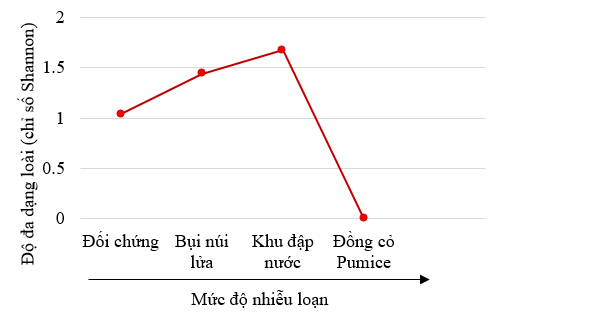 Charles Crisafulli và các đồng nghiệp của ông là một trong những nhà sinh thái học đầu tiên nghiên cứu các quá trình sinh thái kế tiếp nhau trên núi lửa St. Helens  (ảnh 1)