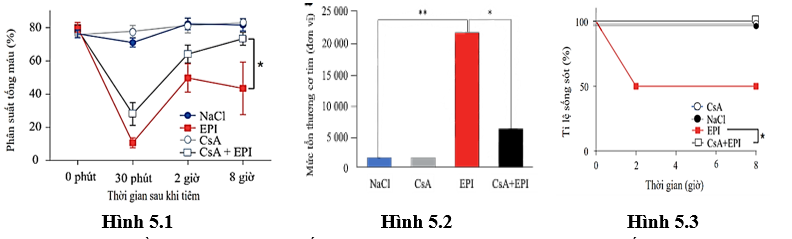 Hội chứng Takotsubo (hội chứng trái tim tan vỡ - TTS) là hội chứng suy tim cấp tính, trong đó người mắc hội chứng này thể hiện các triệu chứng giống nhồi máu cơ tim cấp tính khi chịu ảnh hưởng của yếu tố tâm lí. (ảnh 1)