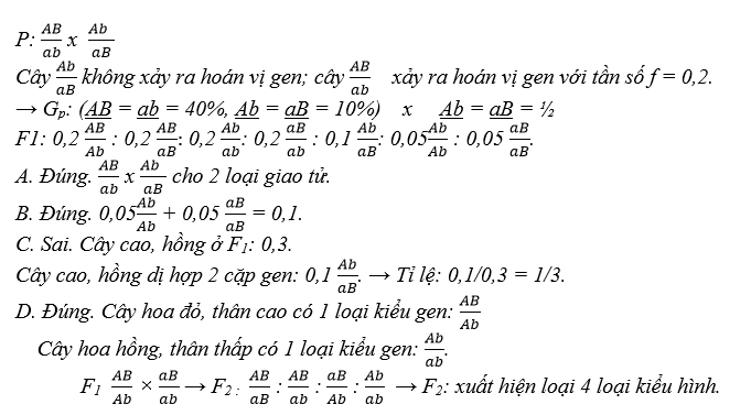 Một loài thực vật, tính trạng màu hoa do cặp gene A, a quy định trong đó kiểu gene AA quy định hoa đỏ, kiểu gene Aa quy định hoa hồng, kiểu gene aa quy định hoa trắng (ảnh 1)
