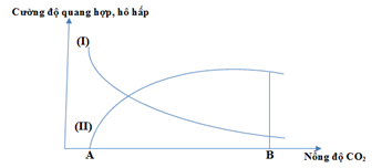 2. Đồ thị hình bên biểu diễn cường độ quang hợp và cường độ hô hấp của một loài thực vật. Hãy cho biết:     a. Đường cong biểu diễn cường độ quang hợp, đường cong biểu diễn cường độ hô hấp? Điểm A và B được gọi là gì? (ảnh 1)