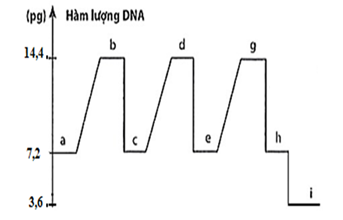 1. Đồ thị hình bên mô tả sự biến động hàm lượng DNA trong nhân của một tế ở một loài động vật qua các thời kì của các quá trình phân bào. Dựa vào đồ thị hãy cho biết: (ảnh 1)
