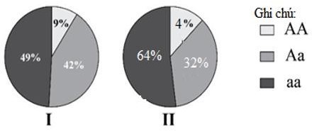 Hình 9 thể hiện tỉ lệ các loại kiểu gene quy định màu lông nằm trên nhiễm sắc thể thường của 2 quần thể cùng thuộc loài chuột nhà (Mus musculus), trong đó allele A quy định lông trắng trội hoàn toàn  (ảnh 1)