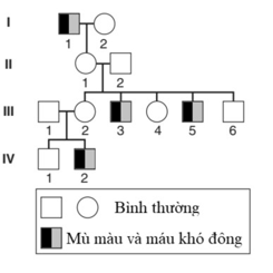Phả hệ hình bên cho thấy bốn thế hệ của một gia đình được M.Madlener mô tả vào năm 1928. Biết rằng mỗi bệnh do một gene riêng biệt quy định, các allele gây bệnh nằm trên NST giới tính X  (ảnh 1)