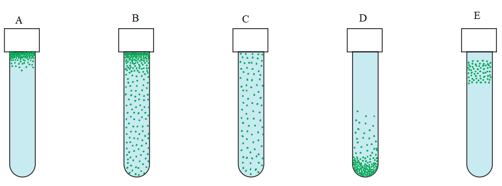 Các ống nghiệm được mô tả trong Hình 2 dùng để nuôi cấy 5 loài vi sinh vật A, B, C, D, E. Các quan sát cho thấy các loài vi sinh vật này tập trung ở các vị trí khác nhau của ống nghiệm trong quá trình nuôi cấy. (ảnh 1)