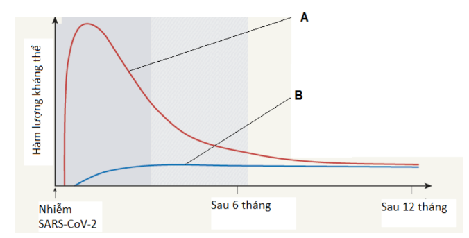Một bệnh nhân bị mất nước do tiêu chảy làm giảm huyết áp nên cơ thể phải điều hòa đưa huyết áp về mức bình thường. Em hãy chỉ ra các cơ quan/cấu trúc của cơ thể thuộc bộ phận điều khiển, bộ phận thực hiện trong quá trình điều hòa trên. (ảnh 1)