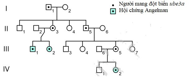 Hội chứng Angelman (AS) g&acirc;y ra do đột biến gene ube3a. Những người bị ảnh hưởng (bệnh nh&acirc;n) c&oacute; biểu hiện chậm ph&aacute;t triển, suy giảm khả năng nhận thức  (ảnh 1)
