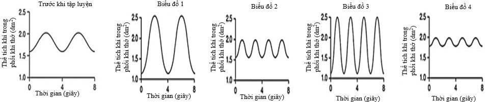 Các biểu đồ cho thấy nhịp độ và độ sâu hơi thở của một người trước và sau khi luyện tập thể dục, thể thao.  (ảnh 1)