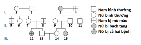 Sơ đồ phả hệ dưới đây mô tả hai bệnh di truyền ở người, bệnh bạch tạng do một gene có 2 allele nằm trên NST thường quy định, bệnh mù màu do một gene có 2 allele nằm trên NST X (ảnh 1)