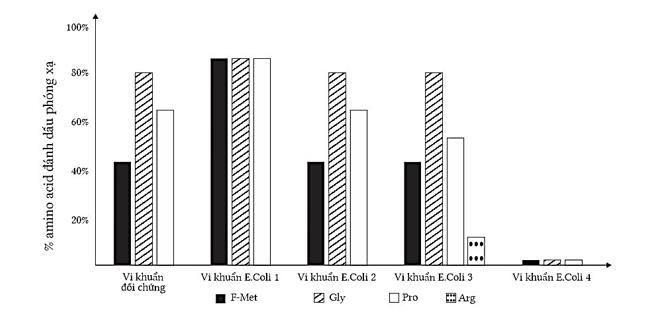 Để kiếm tra ảnh hưởng của đột biến gene ở vi khuẩn E. Coli các nhà khoa học đã tạo ra các chủng đột biến từ chủng dại ban đầu. (ảnh 1)