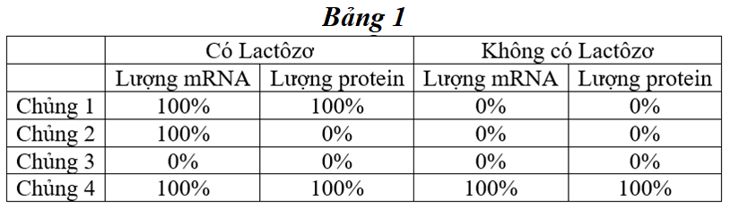 Bảng 1 m&ocirc; tả h&agrave;m lượng mARN v&agrave; pr&ocirc;t&ecirc;in tương đối của gen Z thuộc operon Lac ở c&aacute;c chủng vi khuẩn (E. coli) trong m&ocirc;i trường c&oacute; hoặc kh&ocirc;ng c&oacute; Lact&ocirc;zơ.  (ảnh 1)