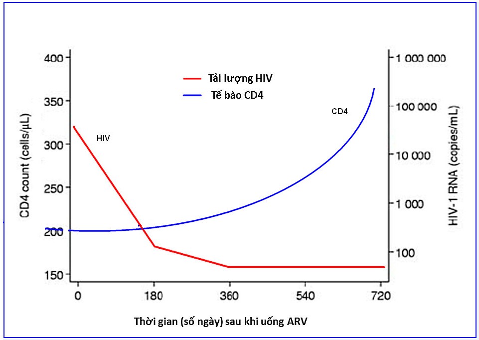 Hợp chất AZT (3-azido-2,3-dideoxythymidine) thường được sử dụng để điều trị cho các bệnh nhân mắc hội chứng suy giảm miễn dịch mắc phải (AIDS).  (ảnh 1)
