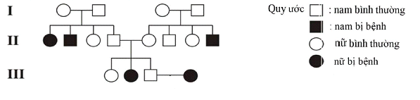 Cho sơ đồ phả hệ sau, trong đó màu đen biểu thị người bị bệnh:   Bệnh di truyền trong phả hệ trên có thể là (ảnh 1)