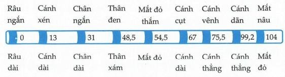 Bản đồ gene ở NST số II của ruồi giấm (Drosophila melanogaster) như sau:   Nếu gọi cặp allele A, a quy định kiểu hình cánh dài - xén, cặp allele B,b quy định kiểu hình thân xám - đen, cặp allele D,d  (ảnh 1)