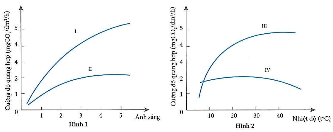 Câu 3.	Cho sơ đồ về mối quan hệ giữa quang hợp của thực vật C3, C4 với cường độ ánh sáng (Hình 1) và với nhiệt độ (Hình 2). Hãy cho biết kết luận nào sau đây sau về đường cong của nhóm thực vật là đúng? (ảnh 1)
