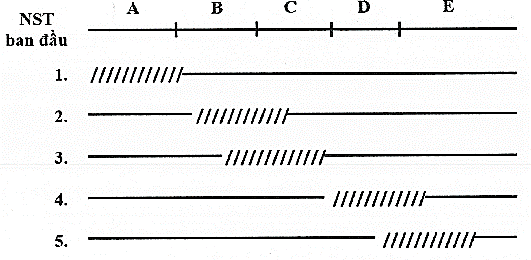 Các trình tự một operon ở vi khuẩn E. coli nằm trong đoạn NST được kí hiệu từ A đến E.  (ảnh 1)