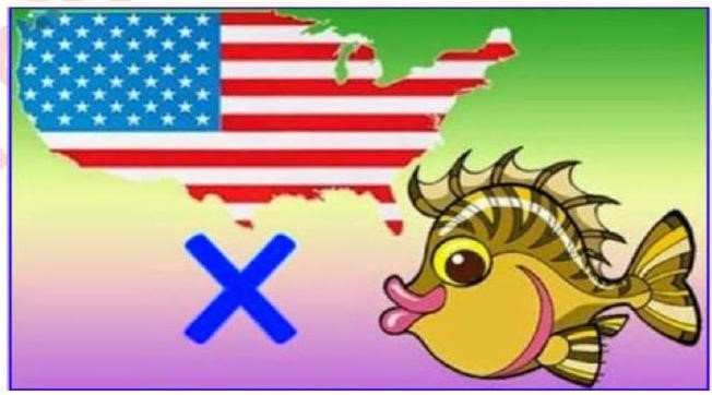 Đây là gì?   A. Mỹ nhân ngư		B. Mỹ nhân cá		C. Tích mỹ nữ		D. Tích mỹ cá (ảnh 1)