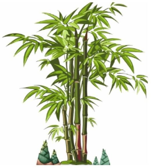 Bức tranh dưới đây gợi nhắc đến thành ngữ nào?   A. Lá rụng về cội		B. Đất lành chim đậu	C. Tóc như rễ tre		D. Tre già măng mọc (ảnh 1)