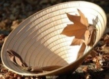 Chiếc nón do một làng nghề ở Việt Nam sản xuất là hình nón có đường sinh bằng 30 cm, đường kính đáy bằng 40 cm. Người ta dùng hai lớp lá để phủ lên bề mặt xung quanh của nón. Tính diện tích lá cần dùng làm 5000 chiếc nón.   (ảnh 1)